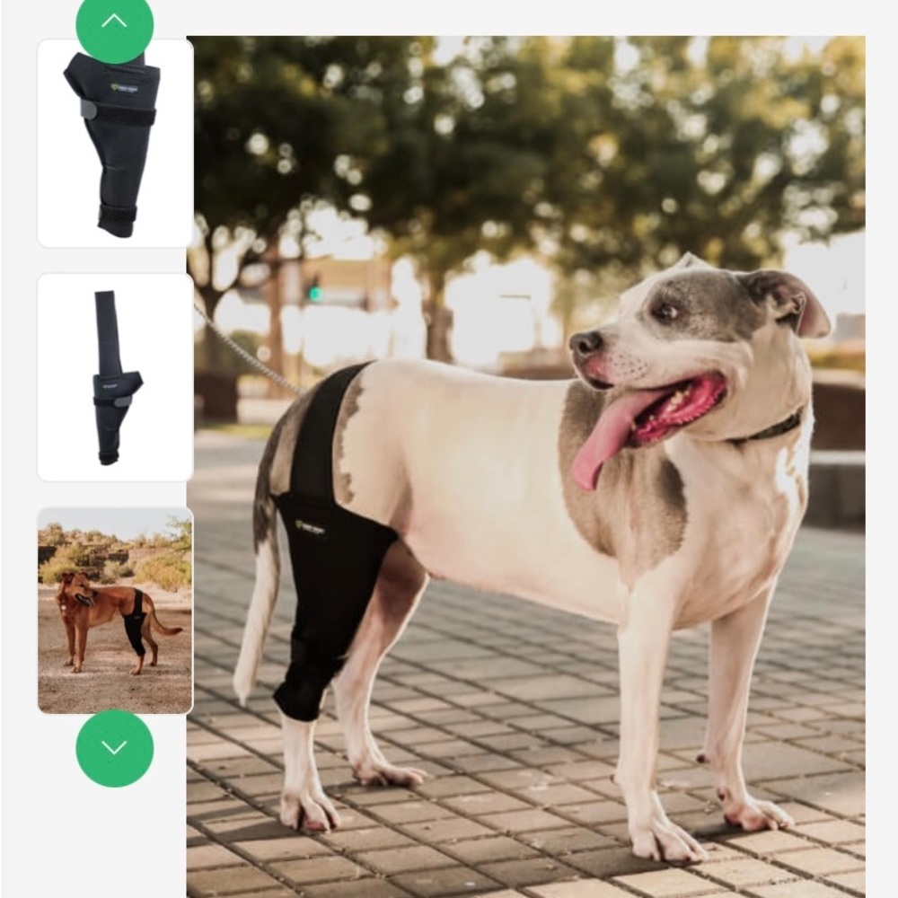 doggy Brace size Large right leg